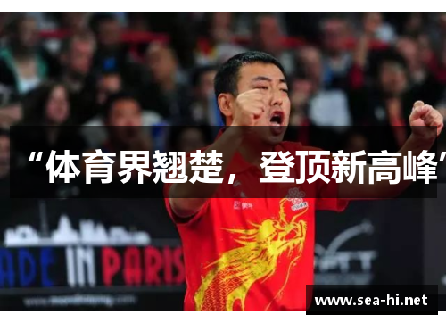 “体育界翘楚，登顶新高峰”